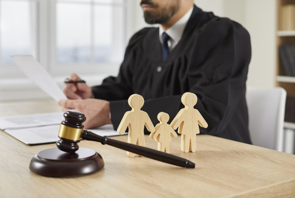 Emergency Custody Lawyers in Rock Hill